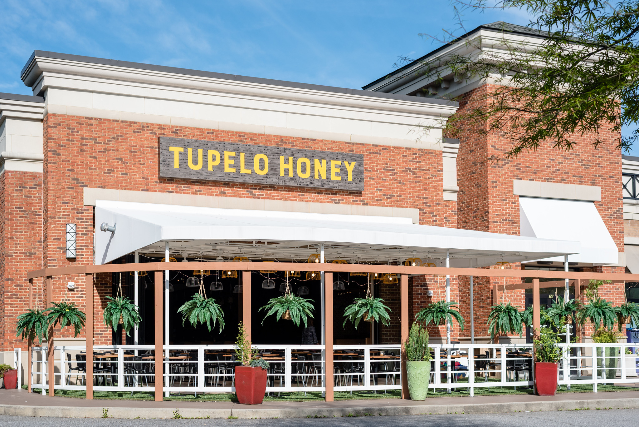 Tupelo Honey South Asheville